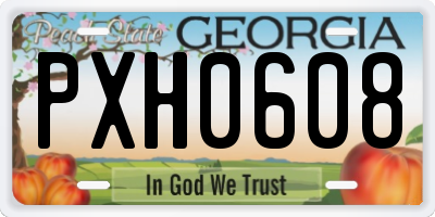 GA license plate PXH0608