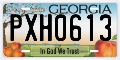 GA license plate PXH0613
