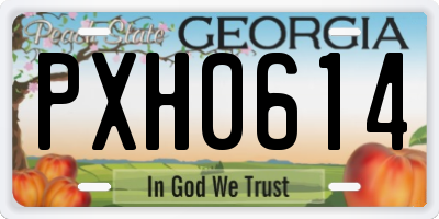 GA license plate PXH0614