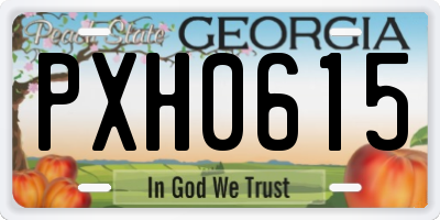 GA license plate PXH0615