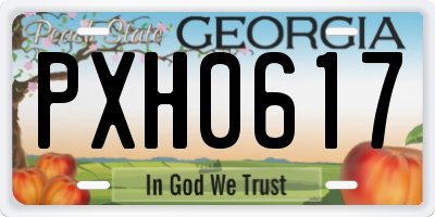 GA license plate PXH0617