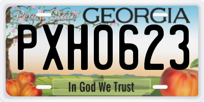 GA license plate PXH0623