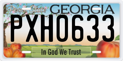 GA license plate PXH0633