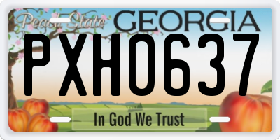 GA license plate PXH0637