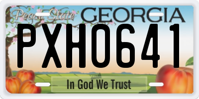 GA license plate PXH0641