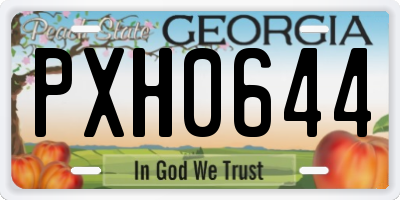 GA license plate PXH0644