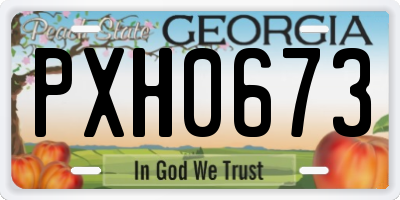 GA license plate PXH0673