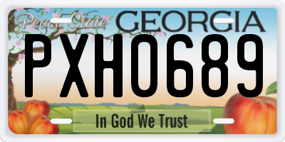 GA license plate PXH0689