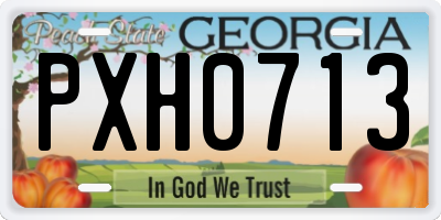 GA license plate PXH0713