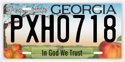 GA license plate PXH0718