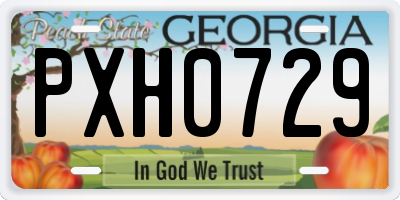 GA license plate PXH0729
