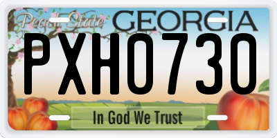 GA license plate PXH0730