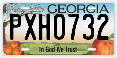 GA license plate PXH0732