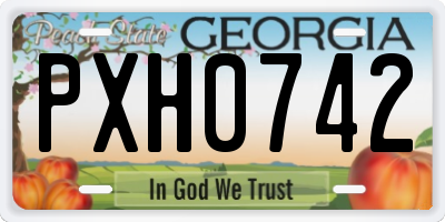 GA license plate PXH0742