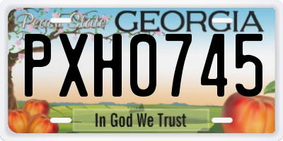 GA license plate PXH0745