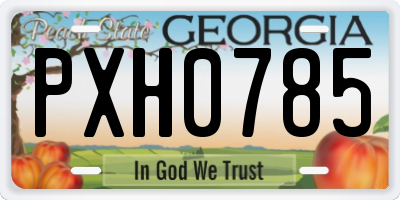 GA license plate PXH0785