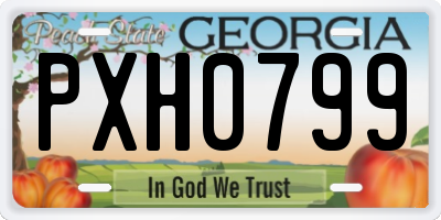 GA license plate PXH0799