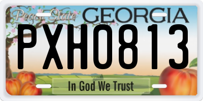 GA license plate PXH0813