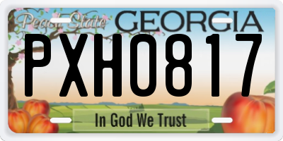 GA license plate PXH0817
