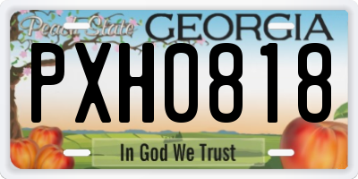 GA license plate PXH0818
