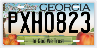 GA license plate PXH0823