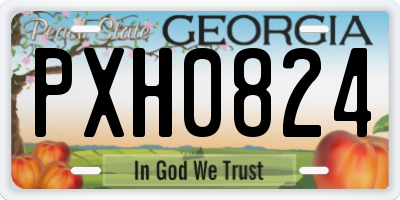 GA license plate PXH0824