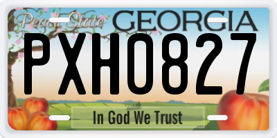 GA license plate PXH0827