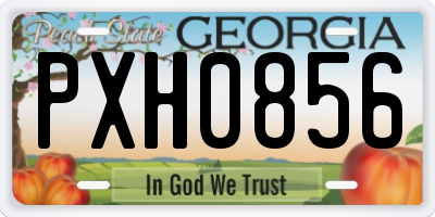 GA license plate PXH0856