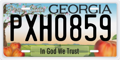 GA license plate PXH0859