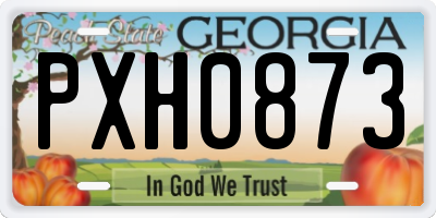 GA license plate PXH0873