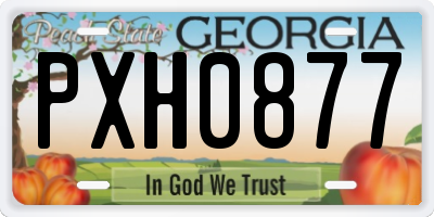 GA license plate PXH0877