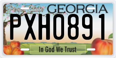 GA license plate PXH0891
