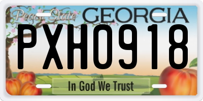 GA license plate PXH0918