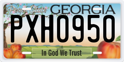 GA license plate PXH0950