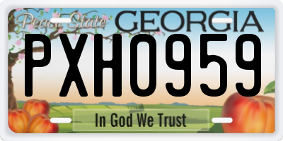 GA license plate PXH0959