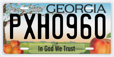 GA license plate PXH0960