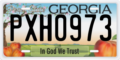 GA license plate PXH0973