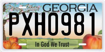 GA license plate PXH0981