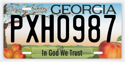 GA license plate PXH0987