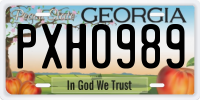 GA license plate PXH0989