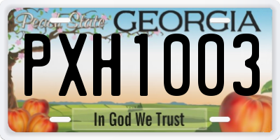 GA license plate PXH1003