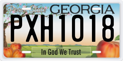 GA license plate PXH1018