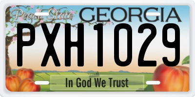 GA license plate PXH1029
