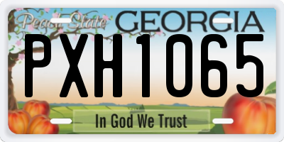GA license plate PXH1065