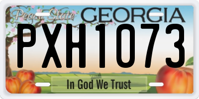 GA license plate PXH1073