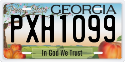GA license plate PXH1099