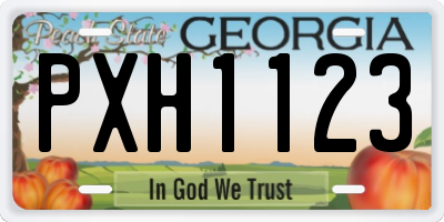 GA license plate PXH1123