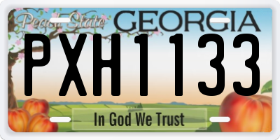 GA license plate PXH1133