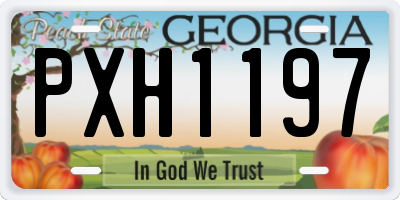 GA license plate PXH1197