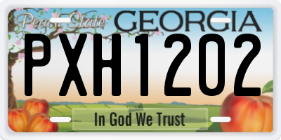 GA license plate PXH1202